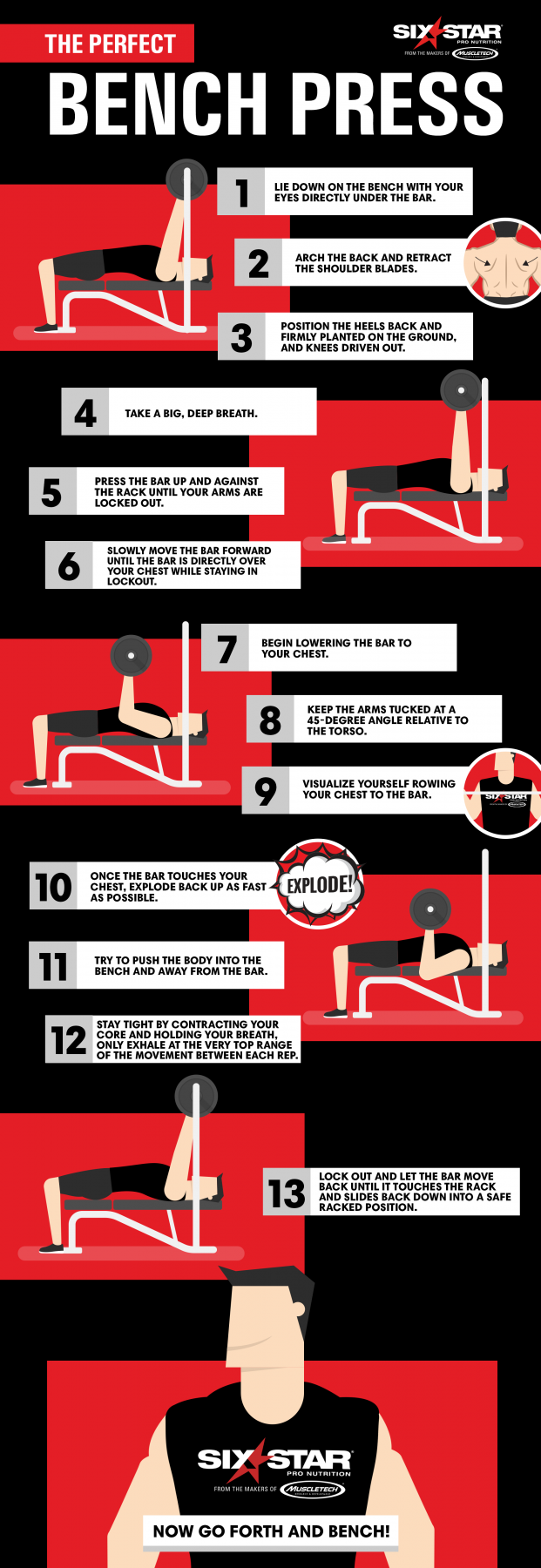 infographic-bench-press | SIXSTAR