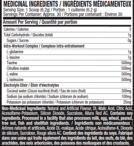 Medical Ingredients - Intra-Workout Amino Boost - Fruit Punch